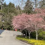 Uvic Ocean Forest Cottage