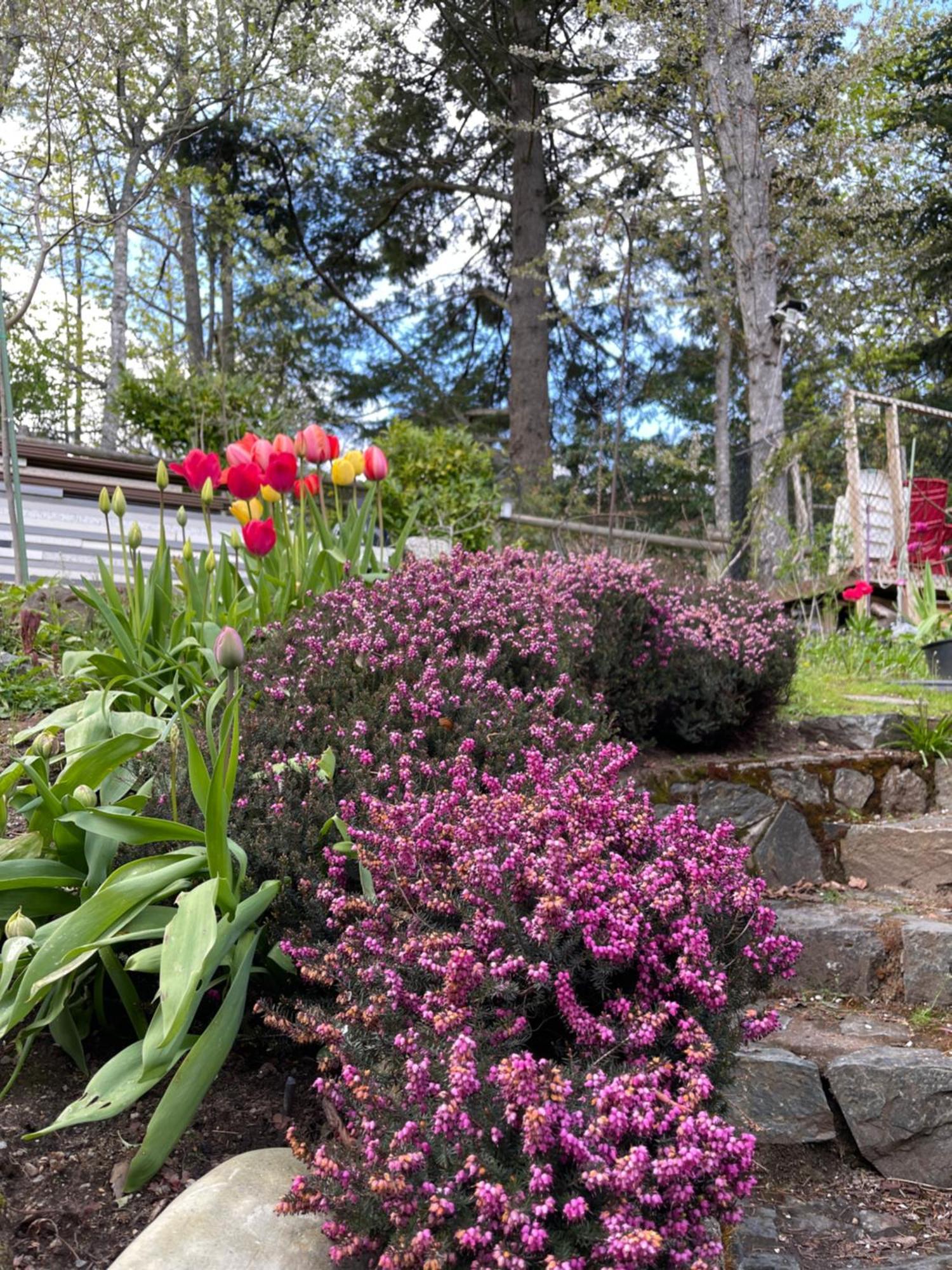 Lodge Uvic Ocean Forest