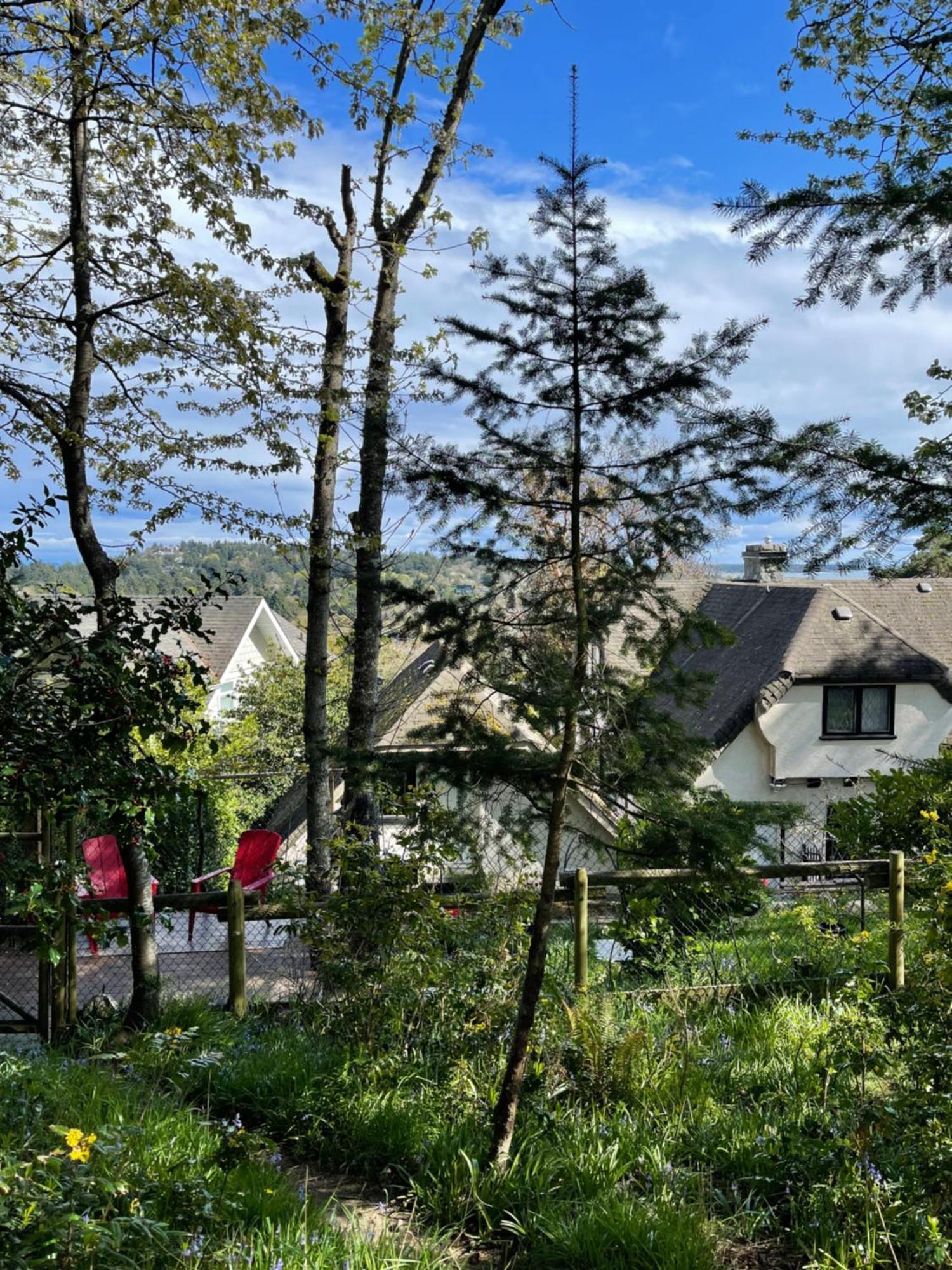 Uvic Ocean Forest Victoria